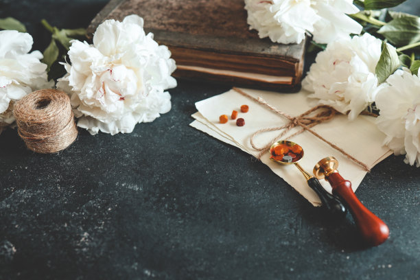 夏季背景，平面布局，牡丹和复古相机图片下载