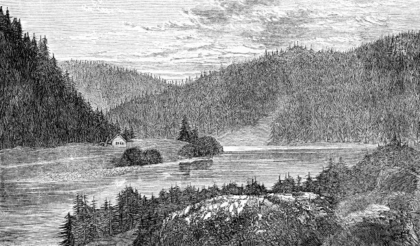加拿大西北地区的北方森林- 19世纪图片下载