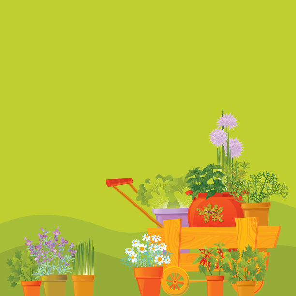 草的背景图片下载