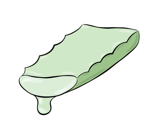 一滴芦荟片图片下载