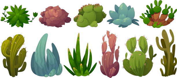 一组仙人掌沙漠花仙人掌图片下载