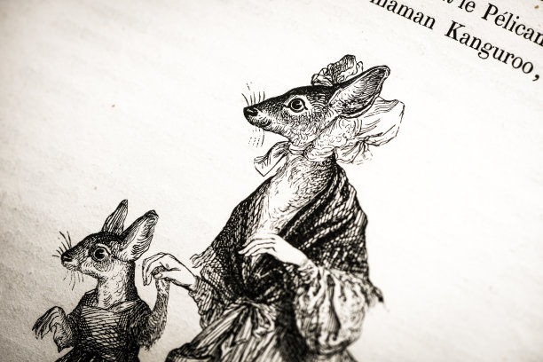 人性化的动物插图:袋鼠图片下载