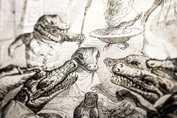 人性化的动物插图:鳄鱼短吻鳄图片下载