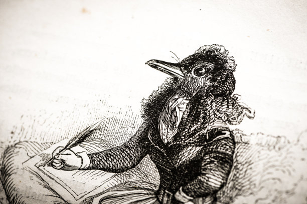 人性化的动物插图:鸟类写作图片下载