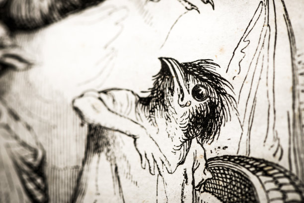 人性化的动物插图:害怕的鸟图片下载