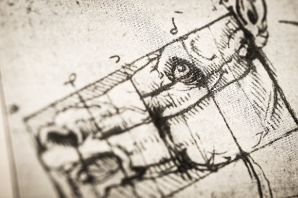 列奥纳多的素描和素描:马图片下载