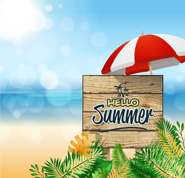 夏天的董事会图片下载