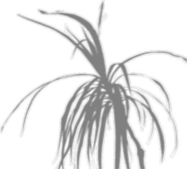 夏天的背景来自一个房间的阴影图片下载