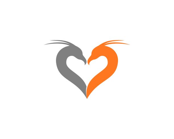 两凤头对头，形影相随图片下载