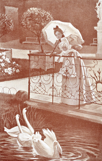 拿着阳伞的女人站在天鹅湖边图片下载