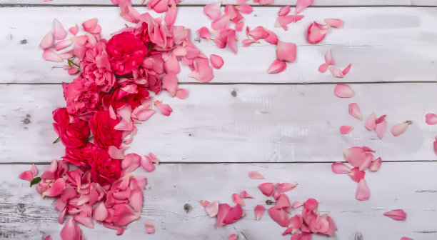 设计理念母亲节节日问候设计玫瑰花束在白色木桌背景图片下载