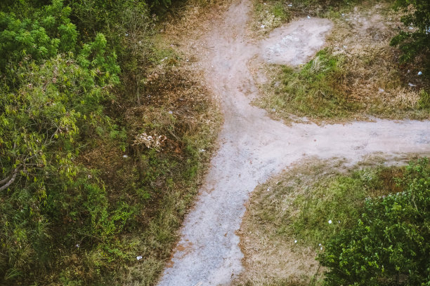 花园中的街道，从楼里往下看。图片下载