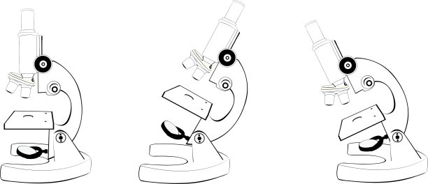 显微镜下,图片下载