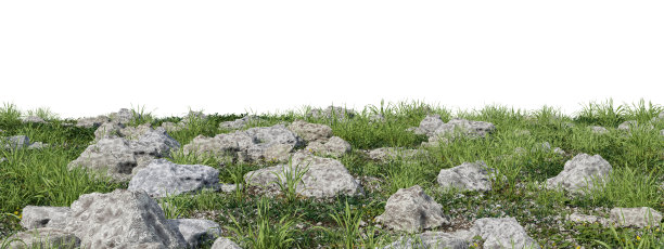 3D渲染逼真的常绿草地和岩石在自然界，草地在春天，热带森林孤立的白色背景图片下载