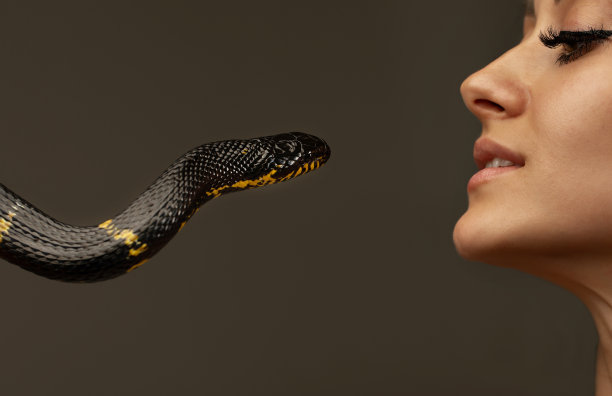 性感的黑发女人带着一条灰色背景的蛇。图片下载