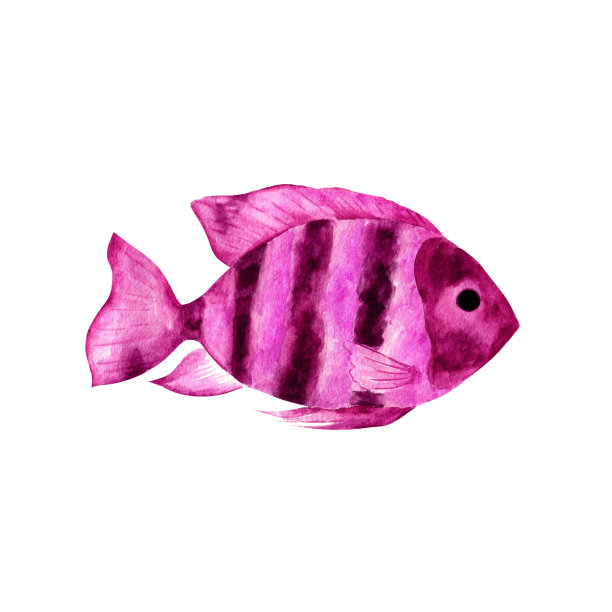 水彩海鱼。图片下载