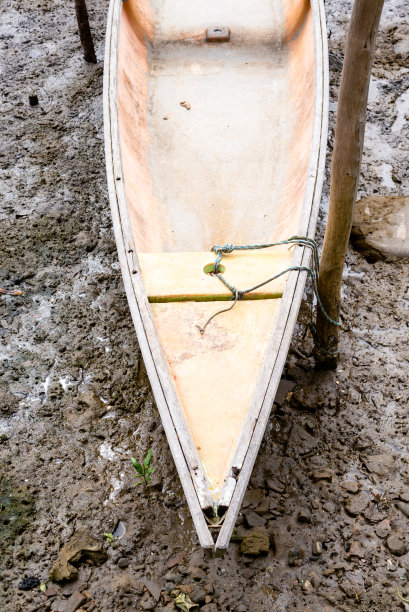 浅色的独木舟停在河边的沙滩上。图片下载