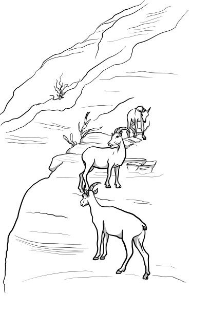 山羊家庭小组图片下载