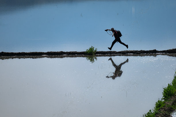 摄影师走在田地之间，捕捉Çorum地区Osmancık水田的灌溉景象。图片下载