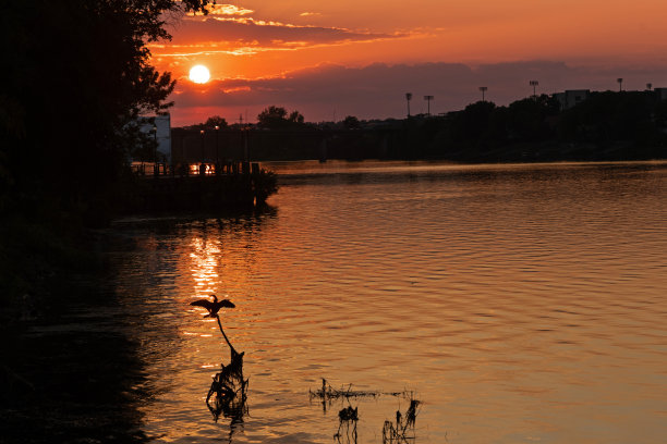 日落时分奥古斯塔萨凡纳河上橙色的天空图片下载