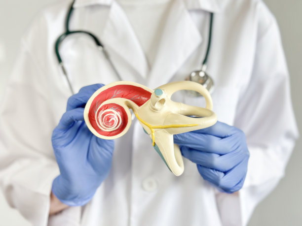 医生正在展示人的内耳图片下载