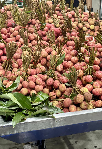 一幅金属车顶上一大堆桂圆的照片，传送带上一大堆桂圆水果图片下载