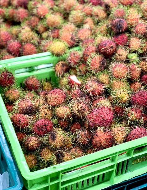 一张绿色板条箱里的一串水果的照片，桌子上绿色板条箱里的水果图片下载