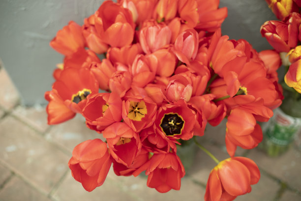 郁金香是红色的。美丽的花束。纪念碑上的花。图片下载