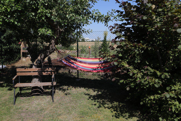 花园里有一张长凳和一张吊床图片下载