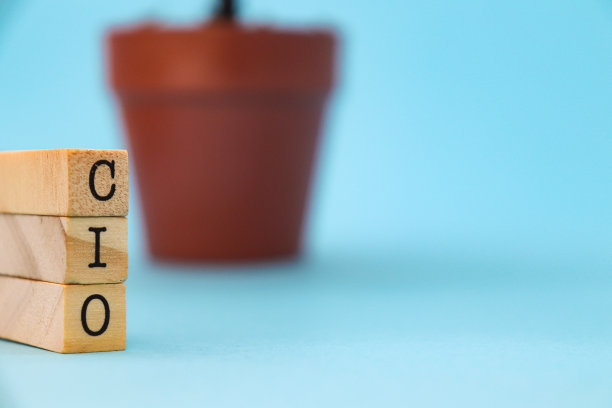 cio(首席信息官图片下载