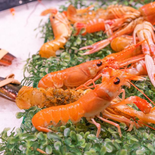 绿草地上有卵的挪威龙虾图片下载