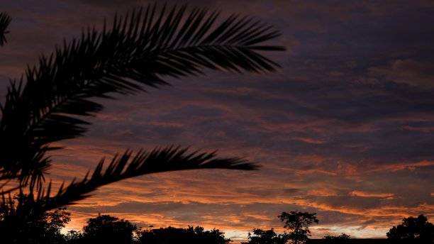戏剧性的橙色云在天空日落期间-云在天空的背景-剪影的树在前景图片下载