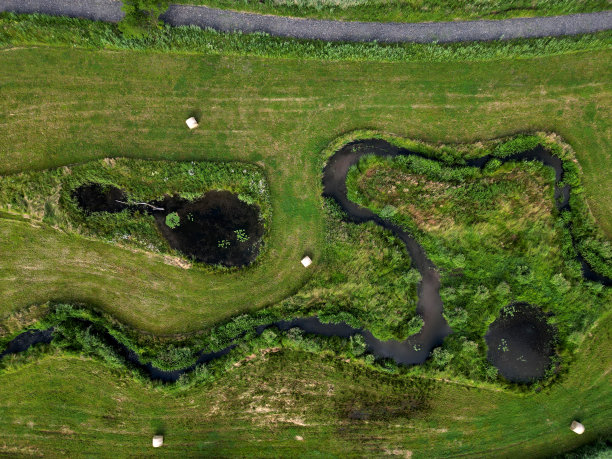 有池塘的蜿蜒溪流。人们将之字形的更新取消改良，采取措施保持景观中的水分。池塘里有一棵溺死的树，周围是像毛皮一样的冰冻草图片下载