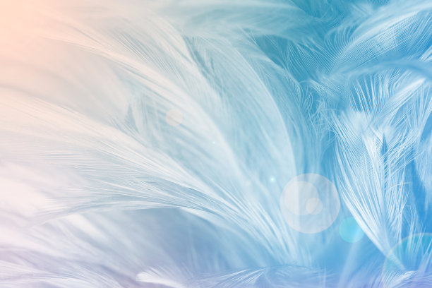 蓝色趋势的鸡毛纹理背景，浅橙色图片下载
