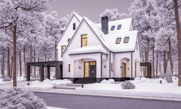 冬季傍晚的黑白现代都铎式房屋3d渲染图图片下载