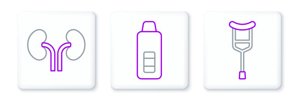 设置行拐杖或拐杖，人体肾脏和数字温度计图标。向量图片下载