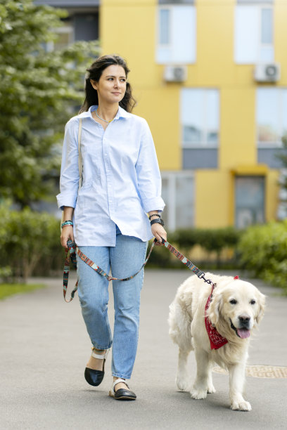 可爱漂亮的女人穿着休闲的衣服带着精心打扮的狗，金毛猎犬在街上图片下载