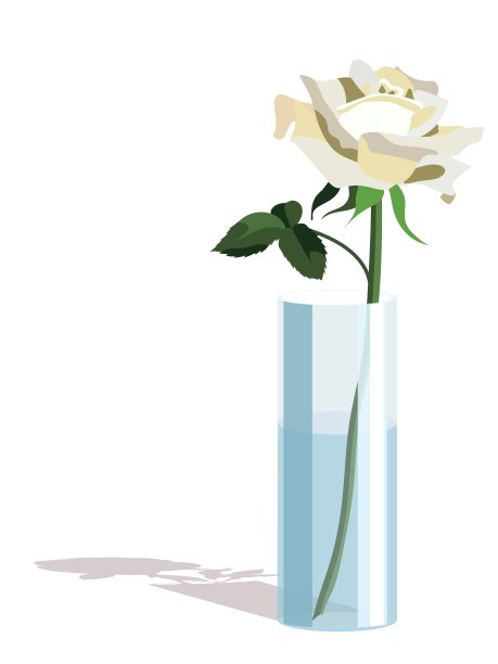 单瓣白色玫瑰形圆柱形花瓶，浅平风格，孤立在白色背景上图片下载