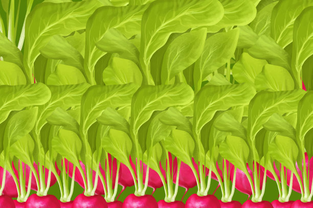 萝卜无缝模式图片下载