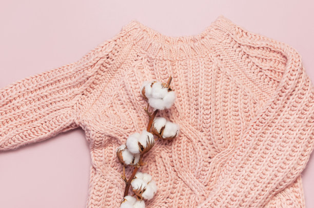 女性粉红色针织毛衣套头衫和棉枝上粉彩粉红色背景俯视平lay。时尚女士衣服套头衫秋冬服装时尚看起来精致的棉花生活方式图片下载