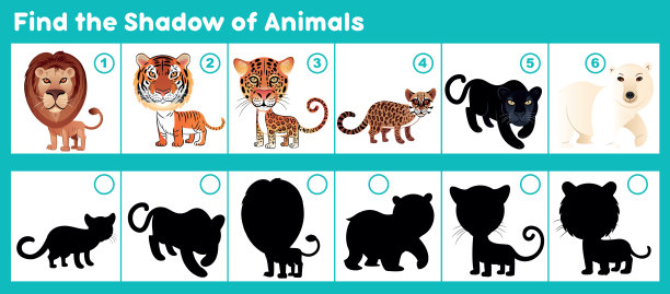 找到正确的动物阴影图片下载