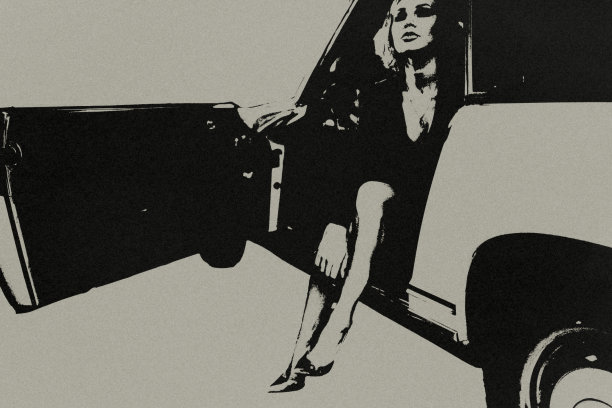 车里的那个女人。图片下载