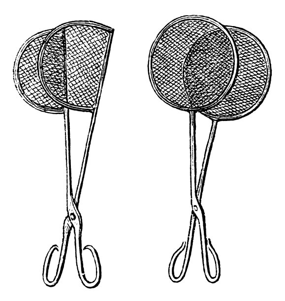 蝴蝶网图片下载