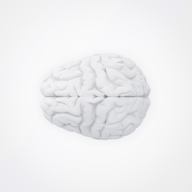 粉色背景上的大脑俯视图。3 d渲染。图片下载