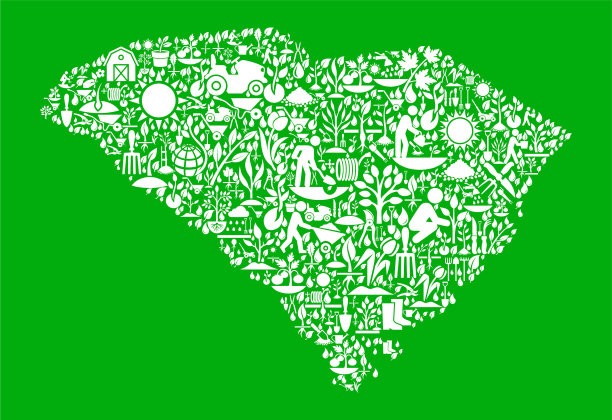 南卡罗来纳花园和园艺矢量图标模式图片下载