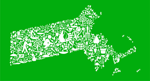 马萨诸塞州花园和园艺矢量图标模式图片下载