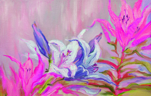 插画艺术作品油画风景盛开的白色百合花图片下载