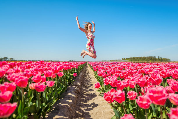 幸福在荷兰图片下载