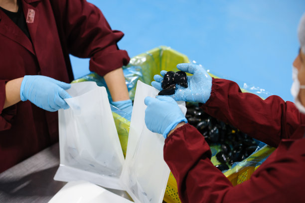 在机器中清洗和准备贻贝图片下载