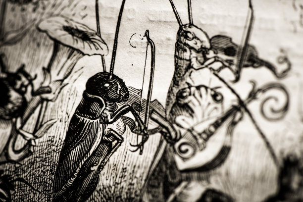 人性化的动物插图:昆虫音乐家图片下载